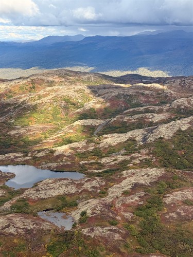 Scenic Tour Talkeetna Mountains