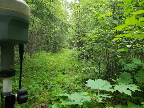 GPS Forest Survey GPS Forest Survey