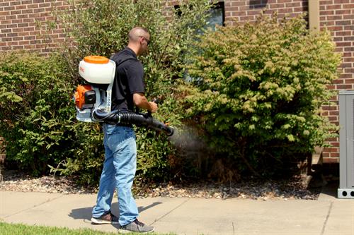 Gallery Image Mosquito_Defense.jpg Gallery Image Mosquito_Defense.jpg