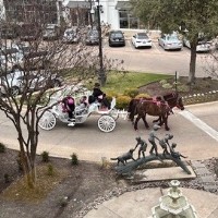 Celebrate Valentine's with a Complimentary Carriage Ride at Hillside Village!