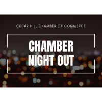 Chamber Night Out - Roslyn Knight State Farm