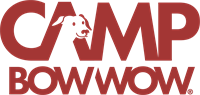 Camp Bow Wow Cedar Hill