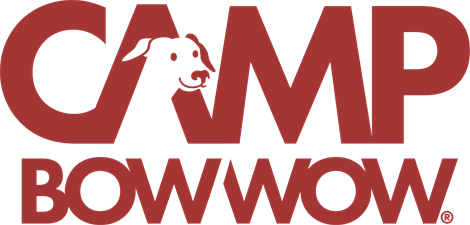 Camp Bow Wow Cedar Hill