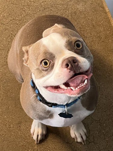 Benson