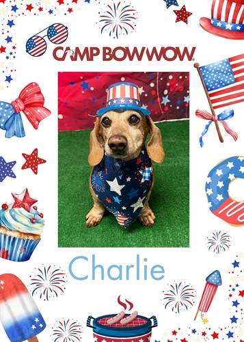 Charlie