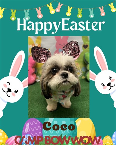Coco