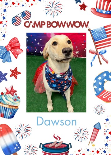 Dawson