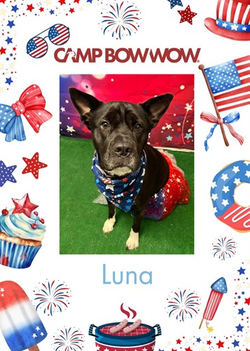 Luna
