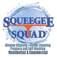 Squeege Squad - Rochester