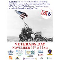 Virtual Veterans Day