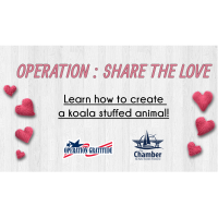 Operation: Share the Love - Learn How to Make A Stuffed Animal