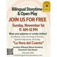 Bilingual Storytime & Open Play