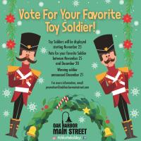 Vote For Your Favorite Toy Soldier