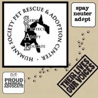 Black & White Friday at Humane Society Pet Rescue & Adoption Center
