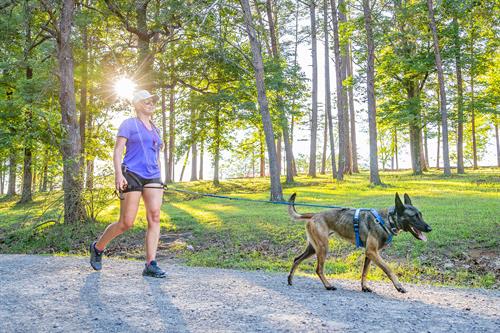 Family Friendly Kid Friendly Pet Friendly Walking Hiking Gadsden Summer Fun Free