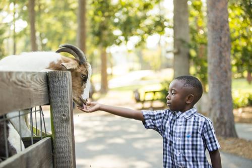 Noccalula Falls Park and Campground Animal Petting Zoo Train Trails Events Culture Family Friendly Kid Friendly