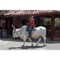 Cuba Travel Presentation