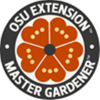 Pruning Blueberries
