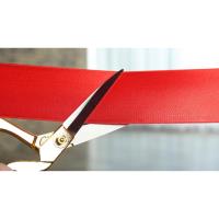 Chamber Ribbon Cutting for New Office