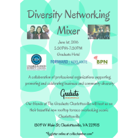 Diversity Networking Mixer