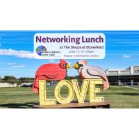 Business Women's Round Table Networking Lunch at The Shops at Stonefield