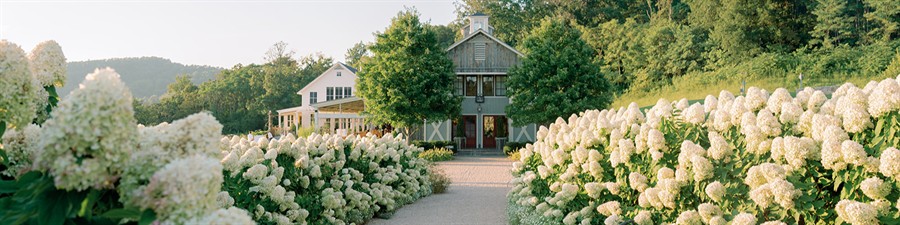 Pippin Hill Farm & Vineyards