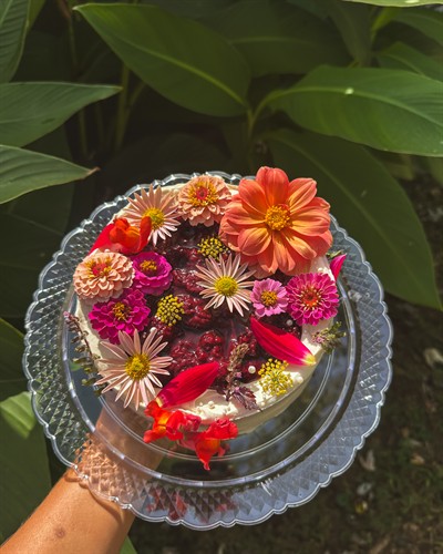 Gallery Image IMG_0339.JPG