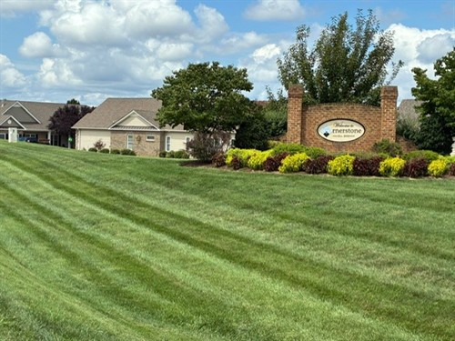 Grass Pic