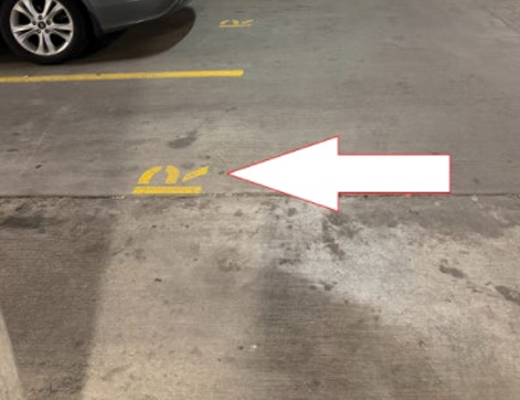 Gallery Image Screenshot_2026-02-12_102339.png