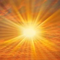 Sunshine Festival