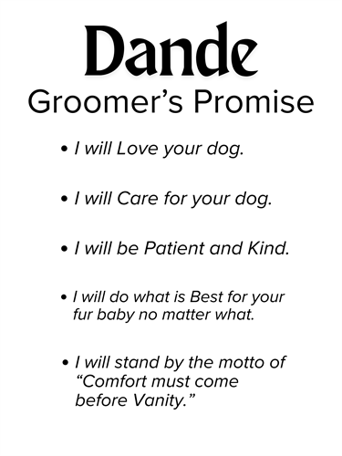 Dande Groomer Promise