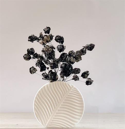 Black Onyx Dried Flower Arrangement