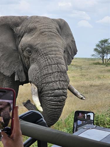 Getting really close to nature in Tanzania