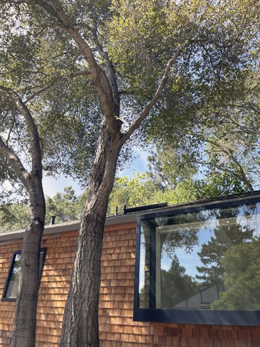 SAN CARLOS HOME ADDITION AND REMODEL 