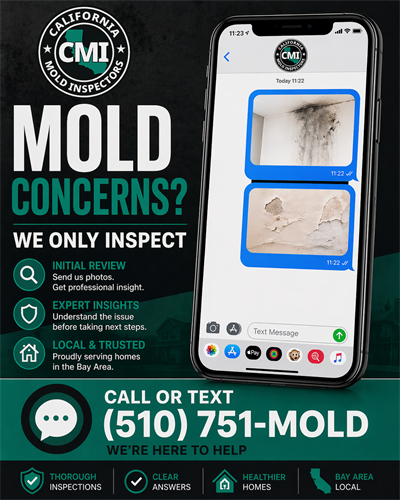 Gallery Image Mold_Inspection.png