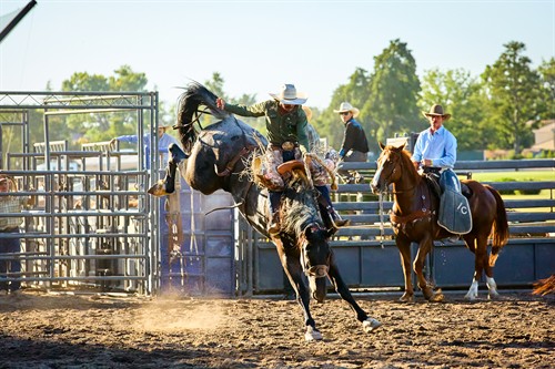 Event Photography