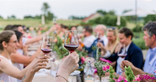Savoring wine and the experience