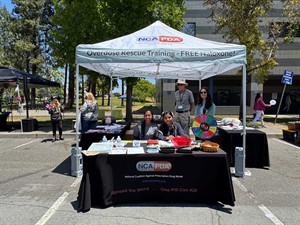 National Coalition Against Prescription Drug Abuse