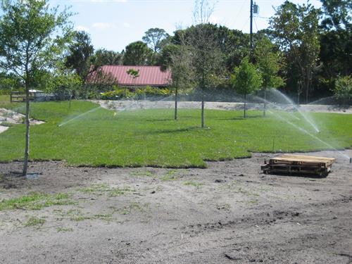 Evergreen Sprinkler & Landscaping Services