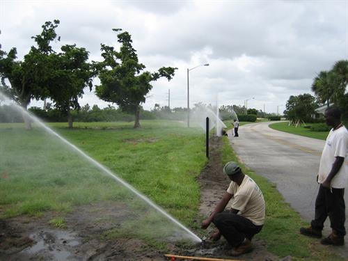 Evergreen Sprinkler & Landscaping Services