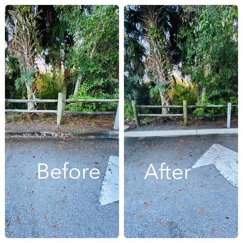 Before & After curb cleaning Before & After curb cleaning