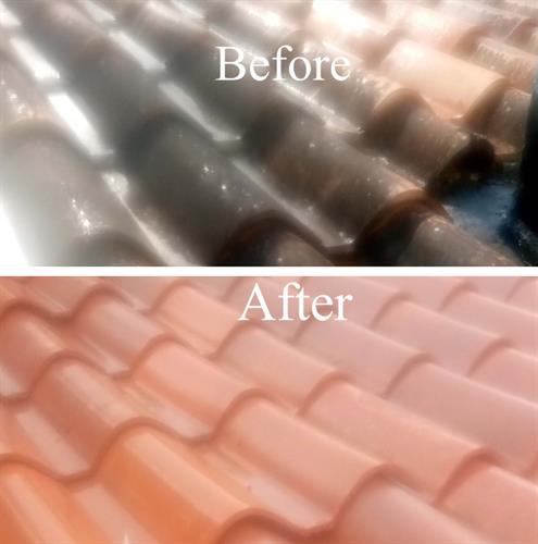 Before & After roof sanitizing cleaning