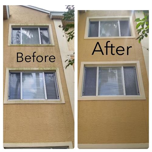 before and after mold, mildew cleaning treatment before and after mold, mildew cleaning treatment