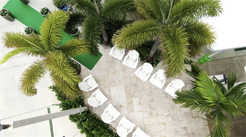 Mint Eco Car Wash Outdoor Lobby