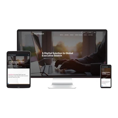 Gallery Image smart-search.jpg