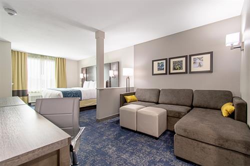 Standard Suite Standard Suite