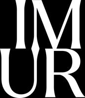 IMUR ART LLC