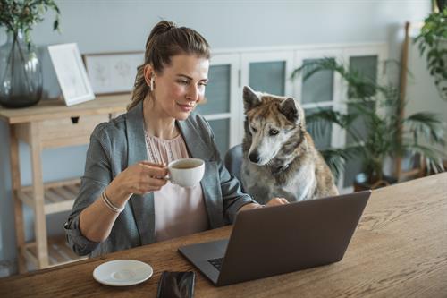Gallery Image woman_on_laptop_at_home_with_dog.80.jpg