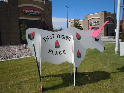 Wyoming's 1st Self Serve Frozen Yogurt shop