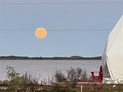 Gallery Image IMG_7903.jpeg Gallery Image IMG_7903.jpeg